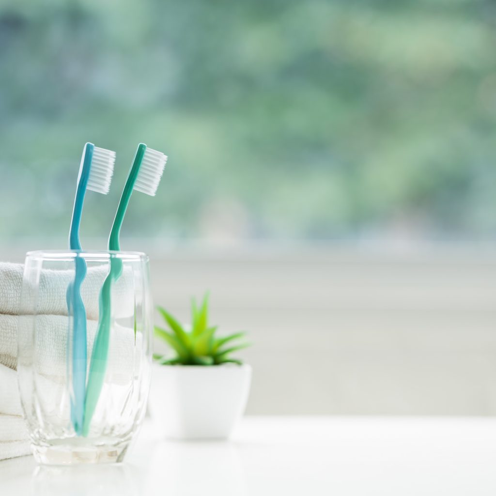 Two toothbrushes in glass with plant and towels.